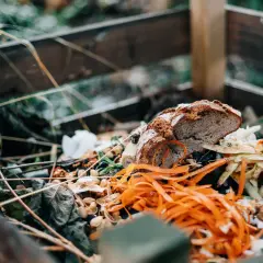 Kompostowanie chleba: Tak, ale z głową! Uniknij pułapek