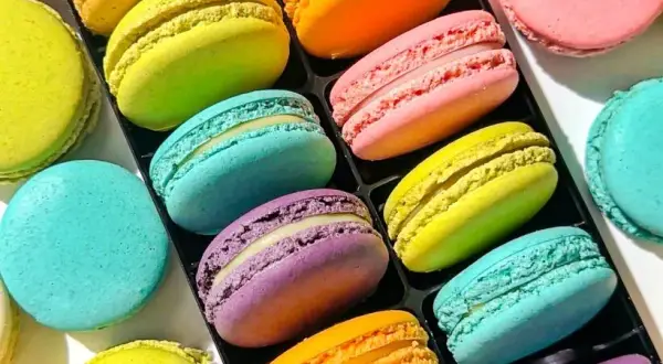 Najlepsze makaroniki w Łodzi: przewodnik po cukierniach i dostawie